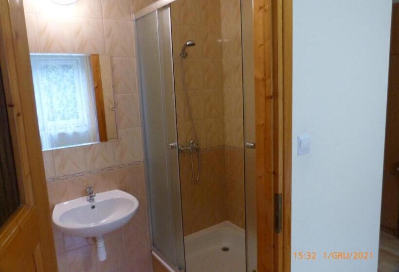 Пансион Willa Roztoczanka