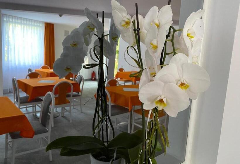 ペンション Willa świetlana