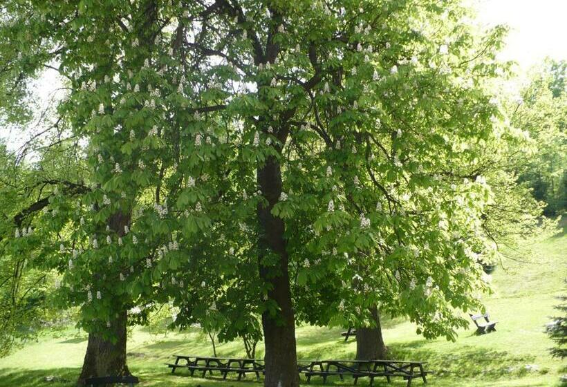 אתר נופש Anna