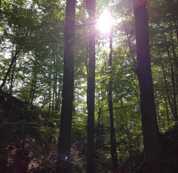 منتجع Gościniec Groblice