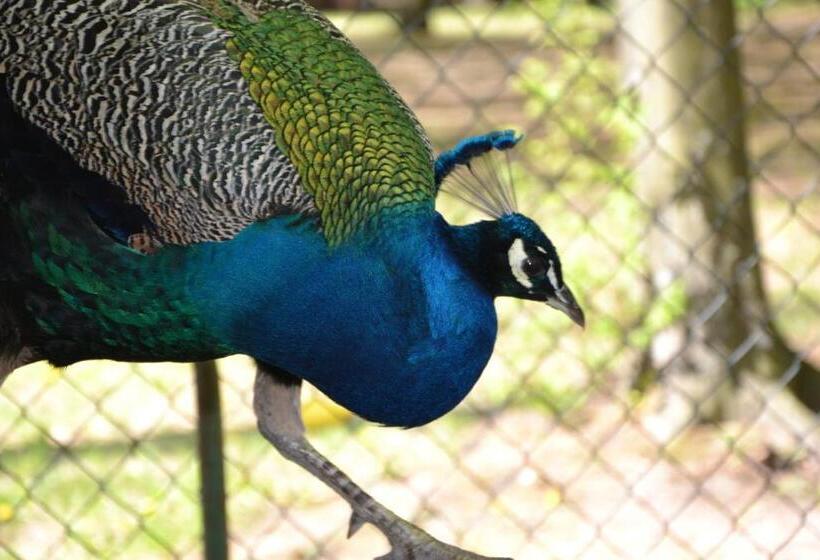 אתר נופש Jodełka