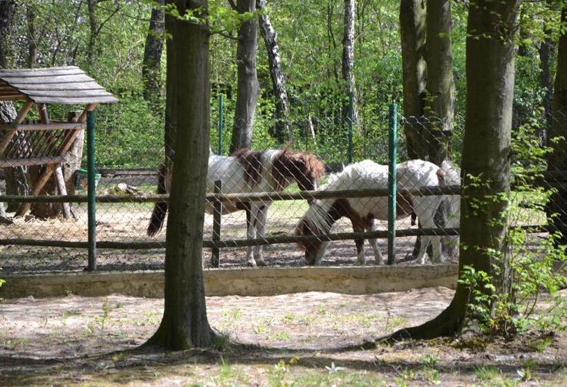 אתר נופש Jodełka