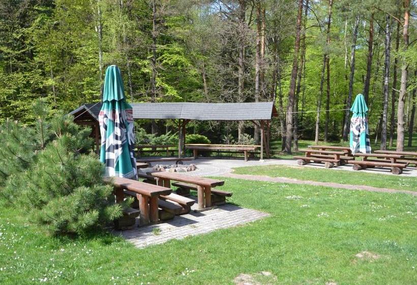 אתר נופש Jodełka