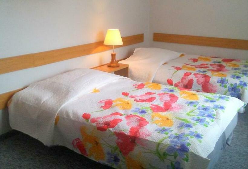 استراحتگاه Willa Zimowit W Wiśle