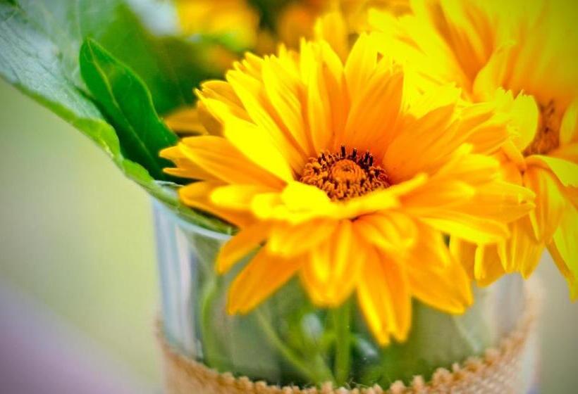 Общежитие Ośrodek Dąbrówka