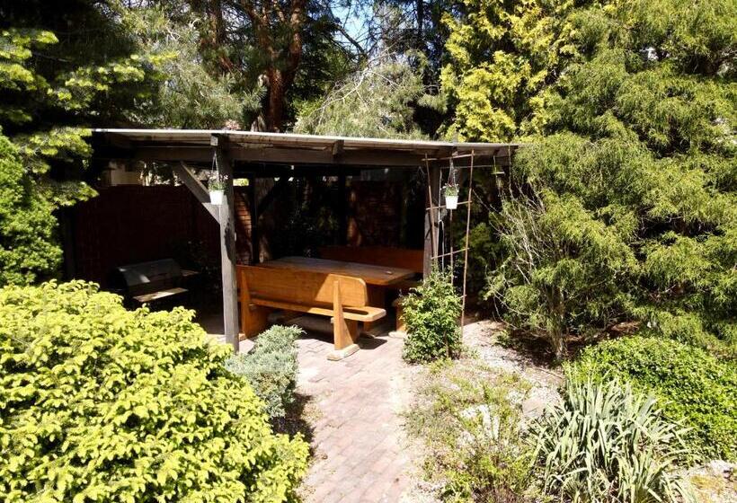 هاستل Pokoje Rezydencja Parysa