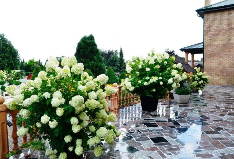 Общежитие Zajazd Rycerski