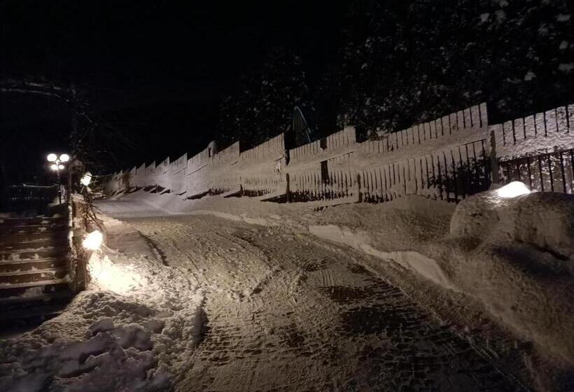 Общежитие Zielone Wzgórze