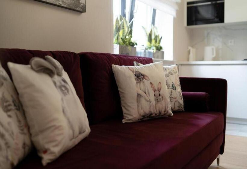 Altara Apartamenty Centrum Free Parking