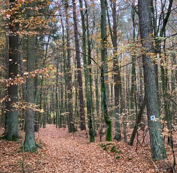 Apartament Jantarowe Zacisze Green