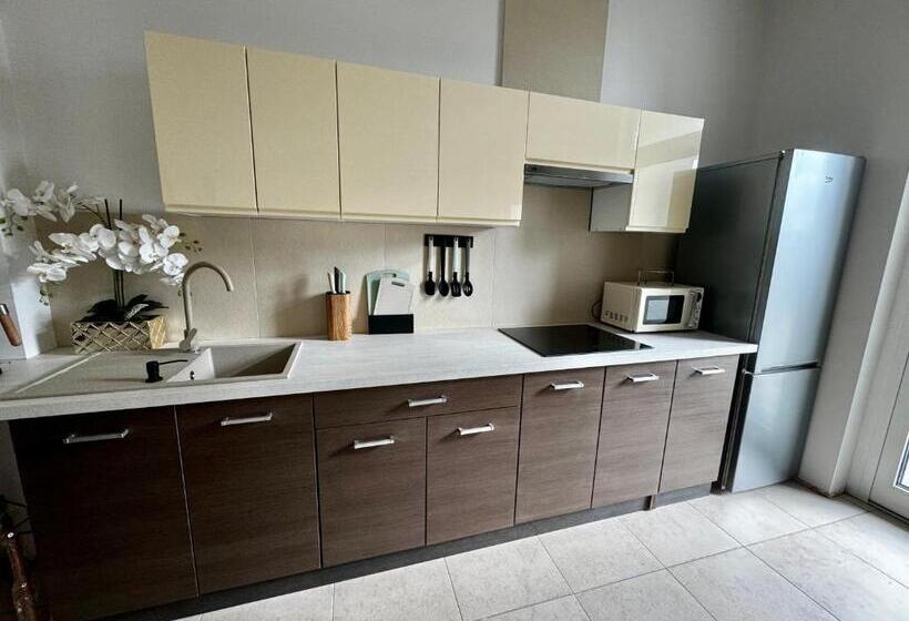 Apartamenty I Pokoje „pod Jedynką”