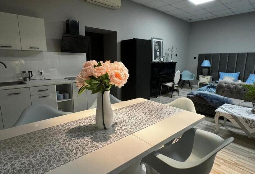 Apartamenty I Pokoje „pod Jedynką”