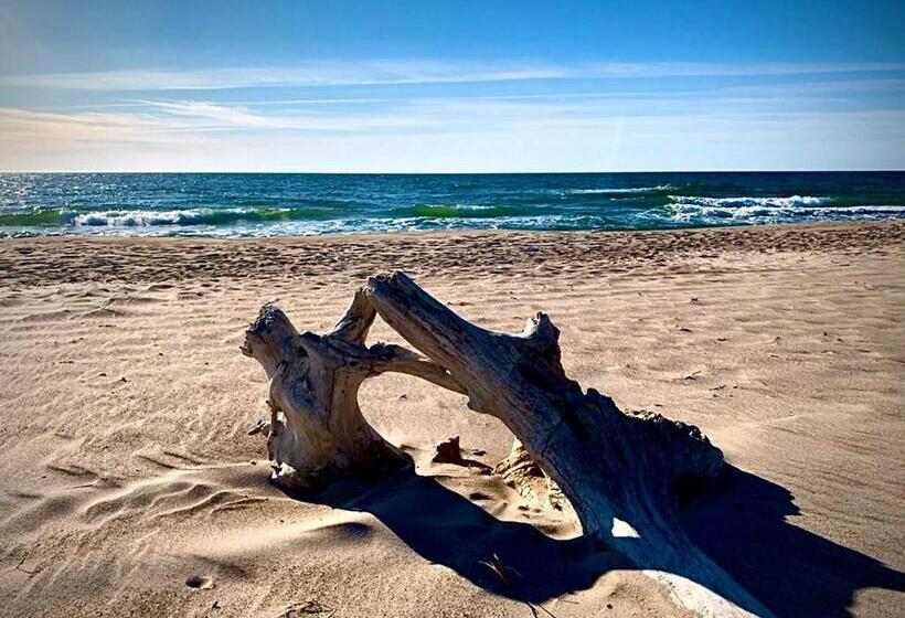 Apartamenty W Marina Royale