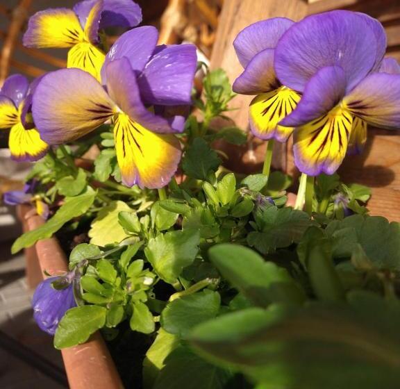 Bed and Breakfast Agroturystyka Cold Sea