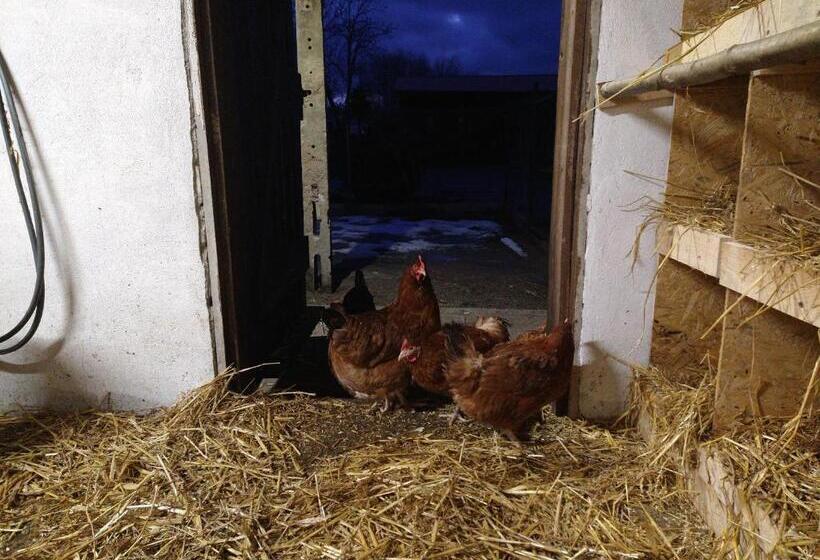 Bed and Breakfast Agroturystyka Cold Sea