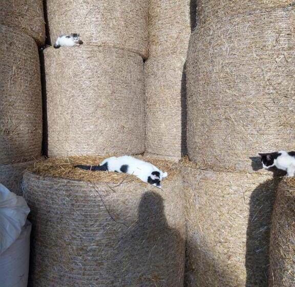 Bed and Breakfast Agroturystyka Cold Sea