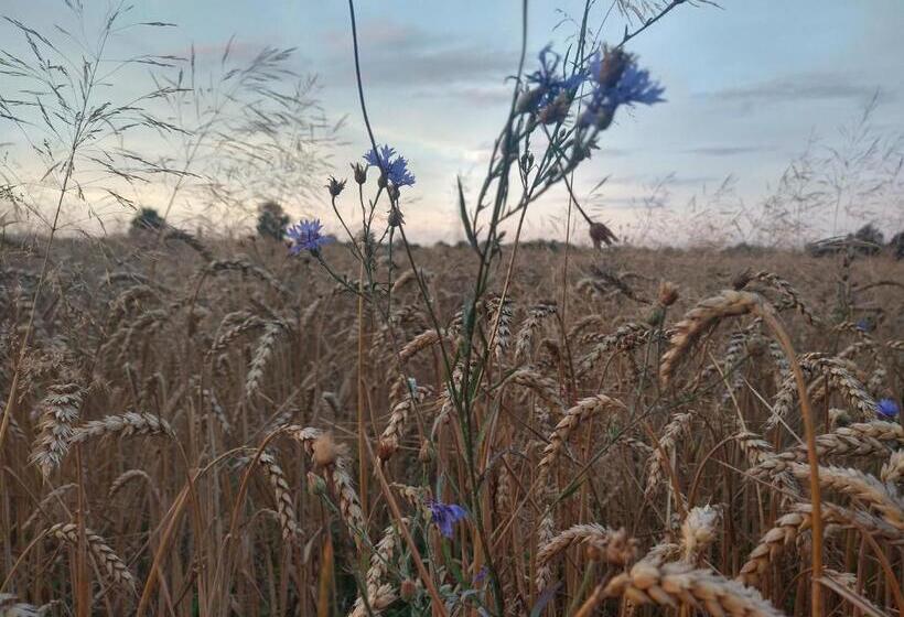 Bed and Breakfast Agroturystyka Cold Sea