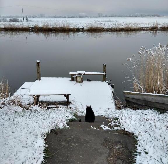 Bed and Breakfast Agroturystyka Cold Sea