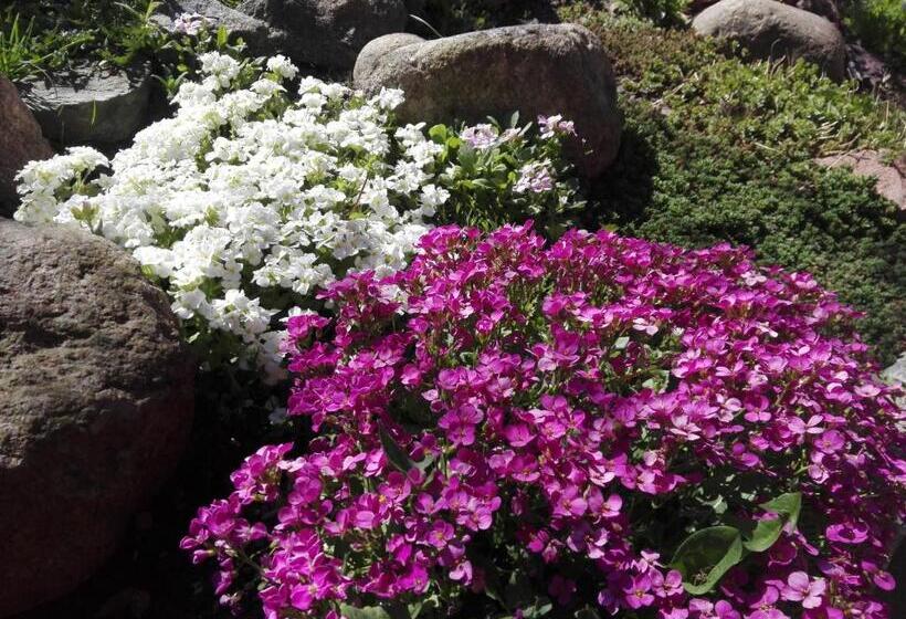 Bed and Breakfast Agroturystyka Cold Sea