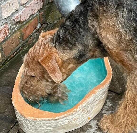 민박 Agroturystyka Hanka I Jurek