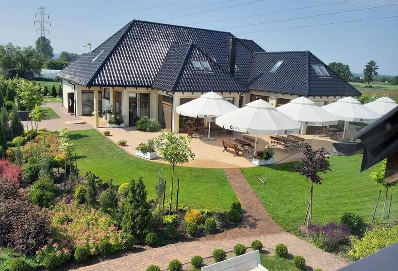 مبيت وإفطار Dom Grinholc