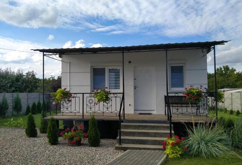 Bed and Breakfast Domki Całoroczne Panamera