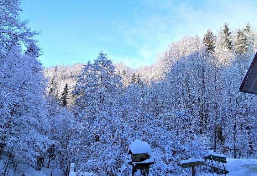 민박 Dworek Leśny