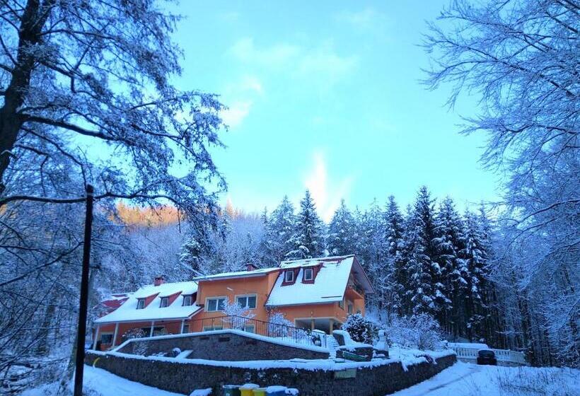 민박 Dworek Leśny