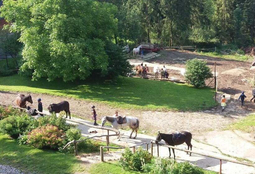 צימר Górski Ośrodek Jeździecki