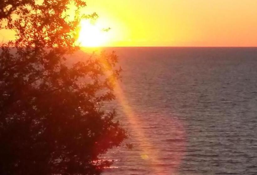 تختخواب و صبحانه Laguna