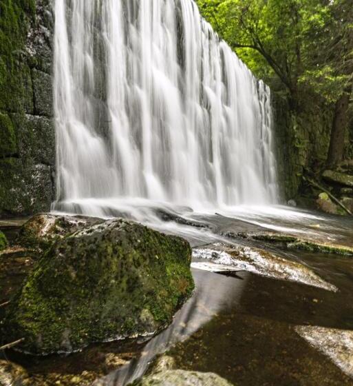 تختخواب و صبحانه Lawendowy Dworek