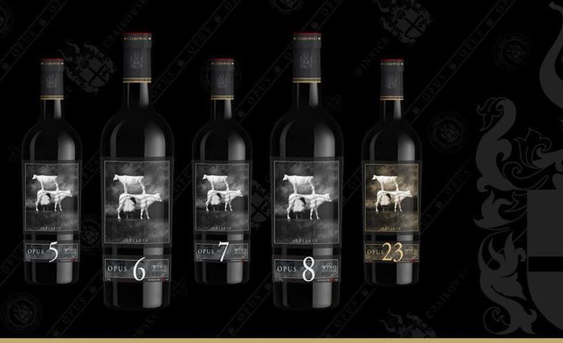 مبيت وإفطار Ostoja Spokoju