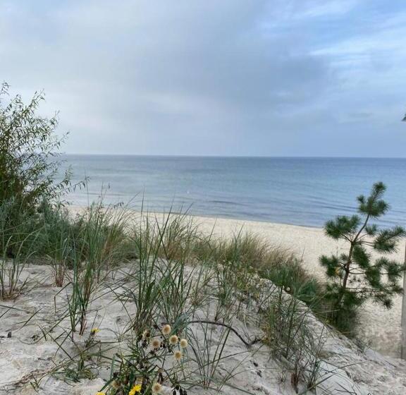 Bed and Breakfast Pensjonat Dziki Zakątek