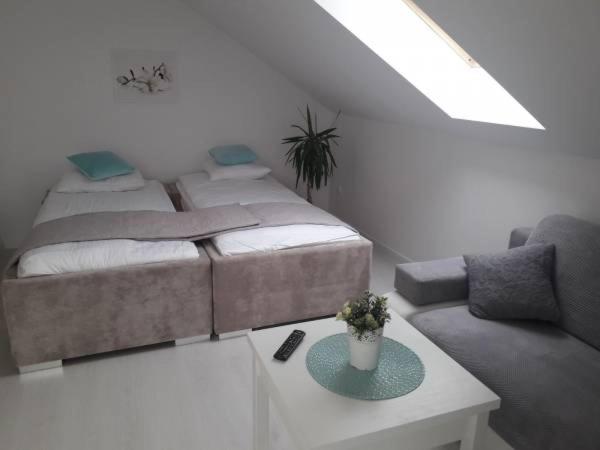 Bed and Breakfast Pensjonat Dziki Zakątek