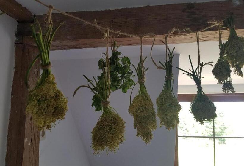 민박 Pokoje Gościnne Art  Dworek