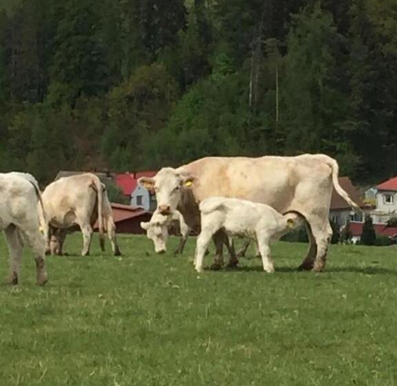 민박 Pokoje Gościnne Art  Dworek