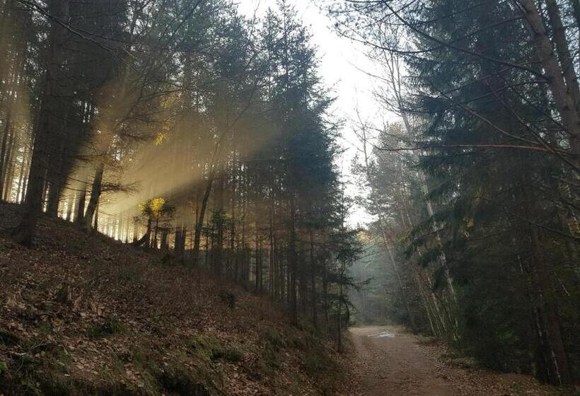 민박 Pokoje Gościnne Art  Dworek