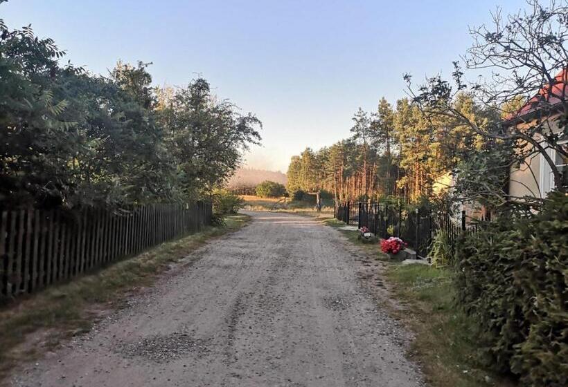 ベッドアンドブレックファースト Satnatorium