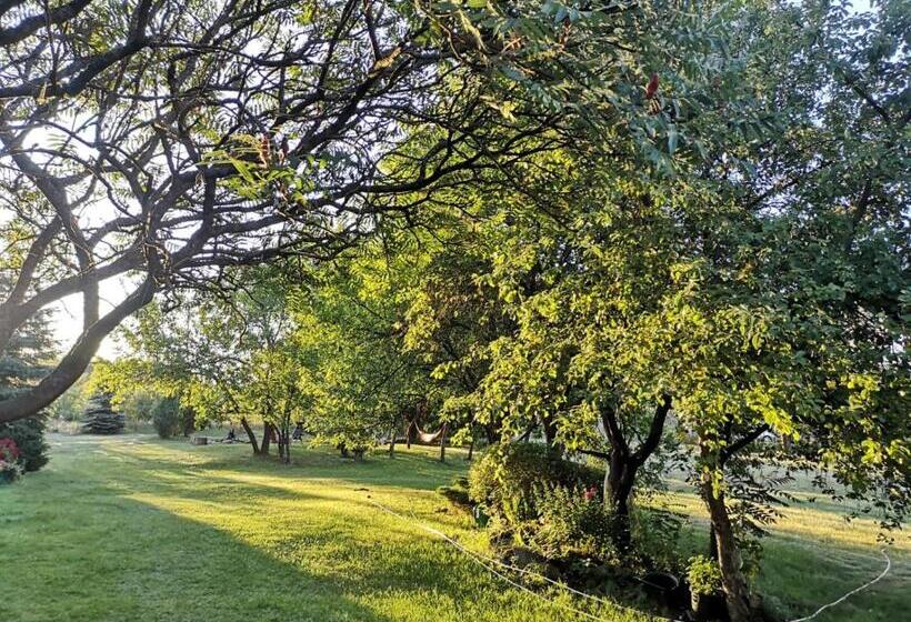 ベッドアンドブレックファースト Satnatorium