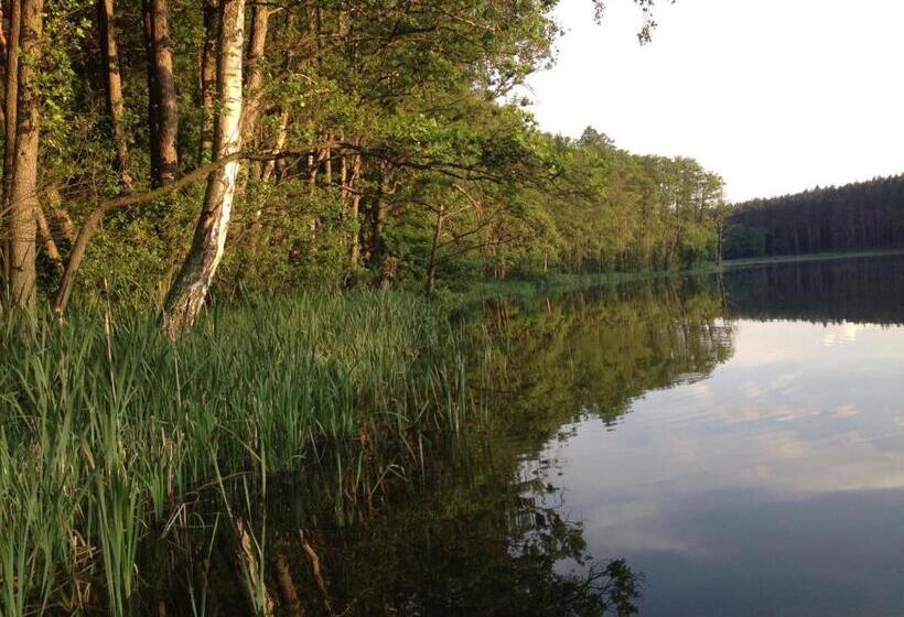 ベッドアンドブレックファースト Satnatorium