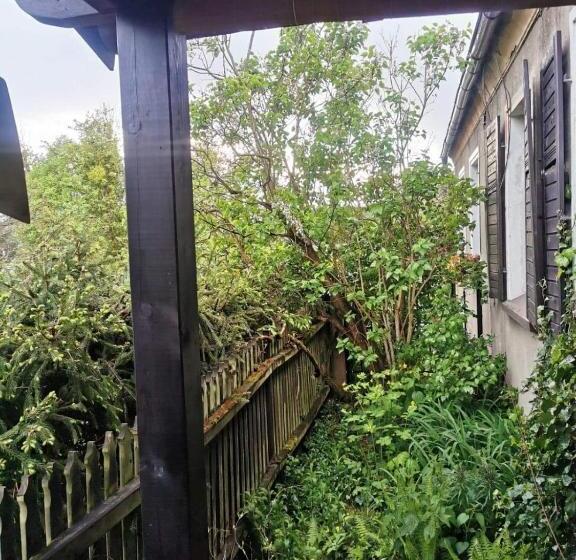 ベッドアンドブレックファースト Satnatorium