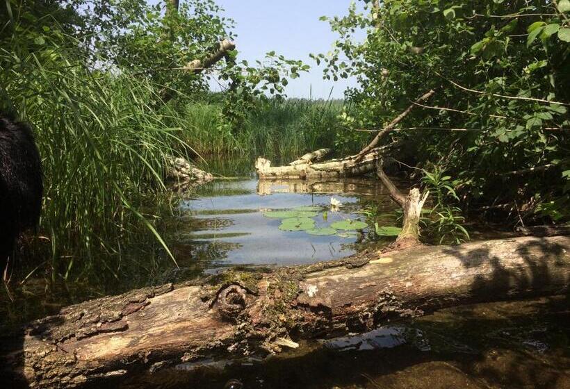 ベッドアンドブレックファースト Satnatorium