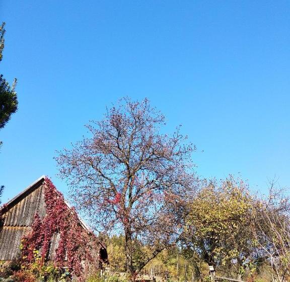 تختخواب و صبحانه U Janka