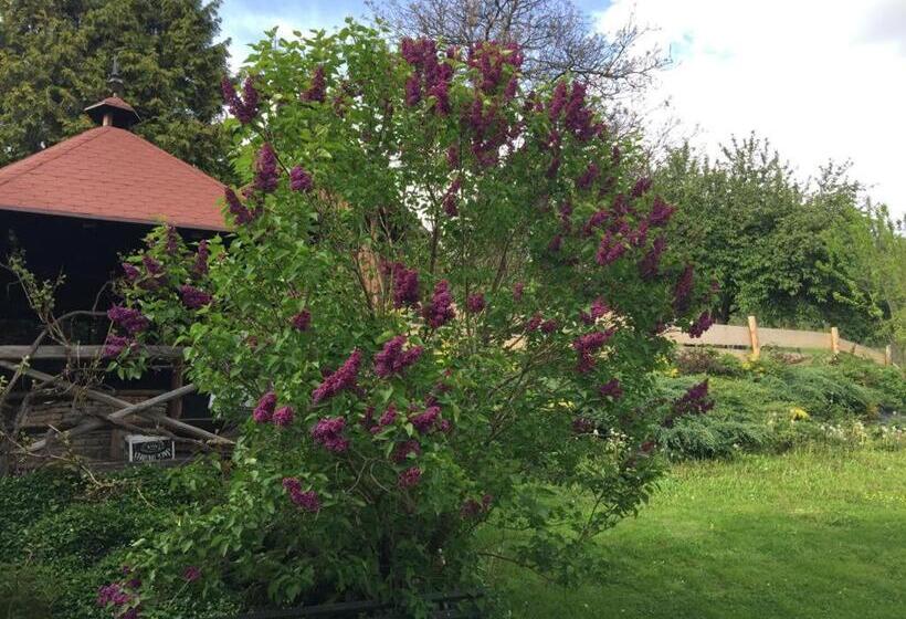 تختخواب و صبحانه U Janka