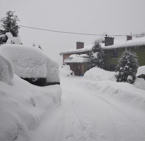 تختخواب و صبحانه U Janka