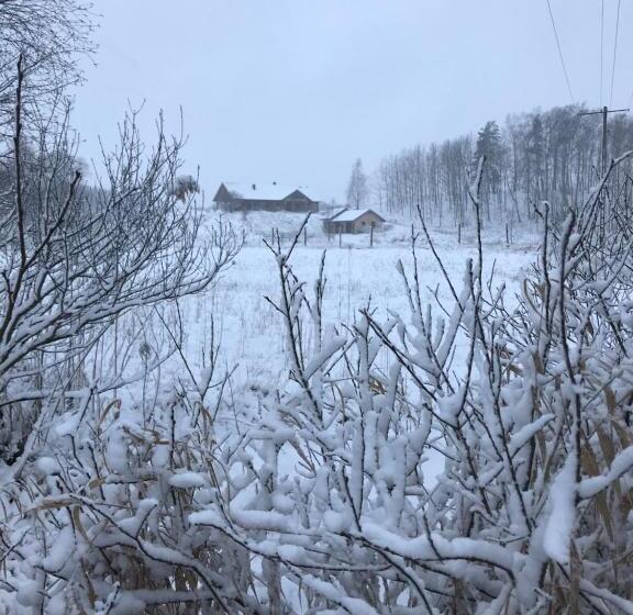 Bed and Breakfast żurawi Jar