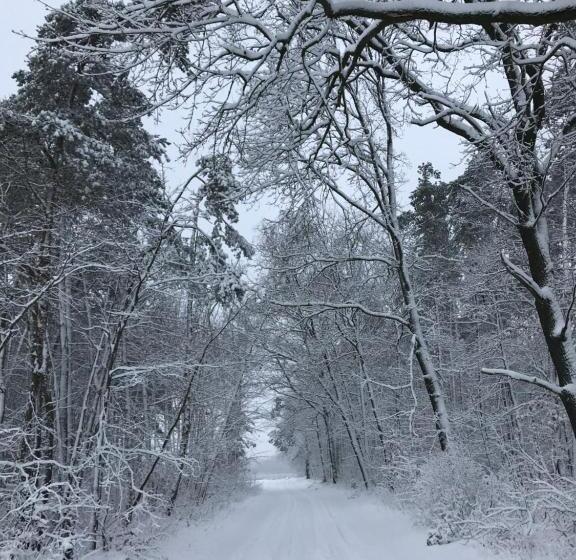 Bed and Breakfast żurawi Jar