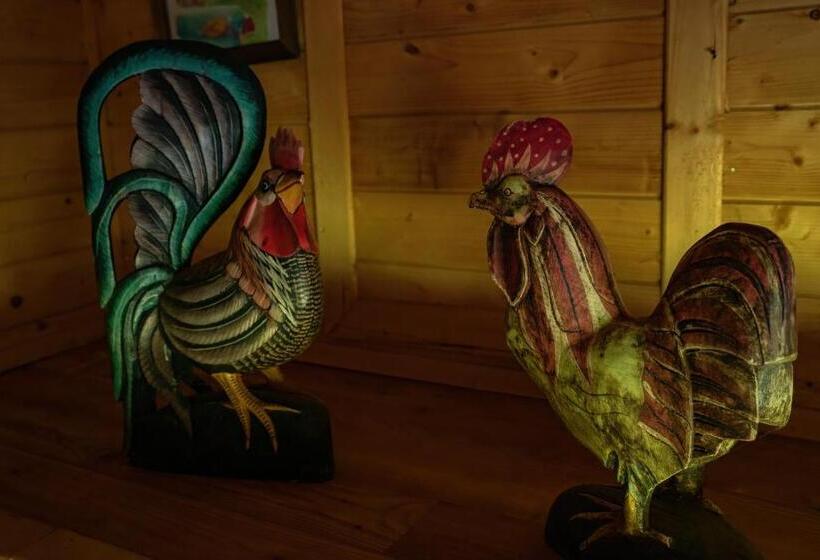 Bed and Breakfast żurawi Jar