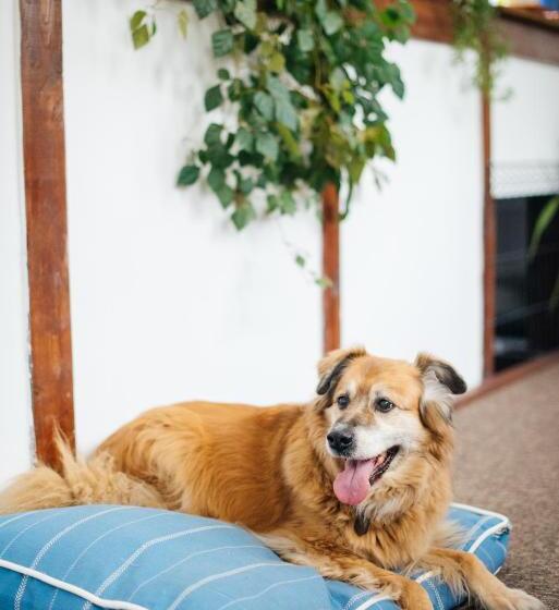 مبيت وإفطار Villa Lulu Piaseczno