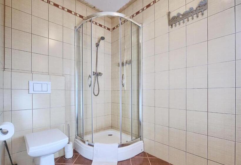 Bed and Breakfast Visitzakopane   Willa Karina